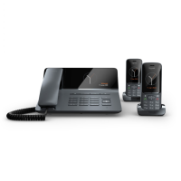 Gigaset Fusion FX800W Pro Bundle - All in One Telephone System with 2x SL800H Handsets
