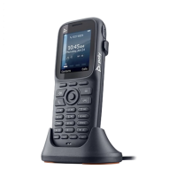 Poly Rove 20 - DECT IP Cordless Handset