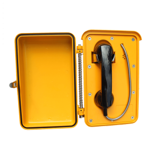 ATL Delta 9000S-TNK VoIP Outdoor Phone