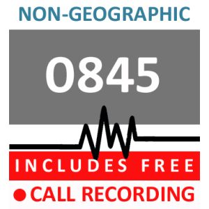 0845 - Silver Telephone Number