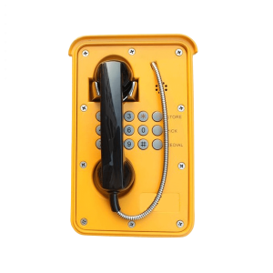 ATL Delta 9000-C15 Analogue Outdoor Phone